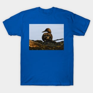 Devilish duck T-Shirt